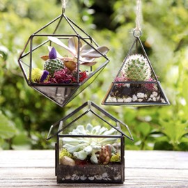 Deco Glass Geometric Brass Terrarium 3 pack, Succulent & Air Plant- Mini Triangle (10x10x10 cm), Mini House (9x9x10 cm), Mini Prism (10x8x10 cm)- Modern DIY Garden Centerpiece Decor- Amazing Gift