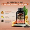 Turmeric Curcumin Supplement 2365 mg - Turmeric with Ginger &