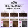 Wella Color Treatment, Hair Dye, Swell Care, Ash Black, 6.3