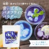Yamasan Butterfly Pea Powder (1.1 oz (30 g) (Natural Herbs