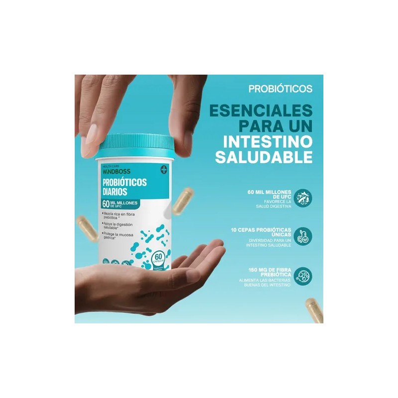 Windboss Combo Digestivo Probiotics + Enzimas | Intestinal A