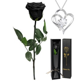Yamonic Gifts for Women Christmas, Infinity Rose with Stem, Eternal Rose with Heart Necklace Gifts for Mum, Real Rose with Chain for Women, Preserved Flower for Valentine's Day/Mother's Day