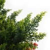 Sardoxx Set of 2 Artificial Cedar Topiary Trees with Red