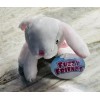 Fuzzy Friends 6” Baby Bunny Rabbit Plush Easter Stuffed Animal.