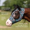 Professional's Choice Comfort-Fit Fly Mask