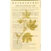 naturcolor Haircolor Hair Dye - Light Burdock, 4 Ounce (5N)
