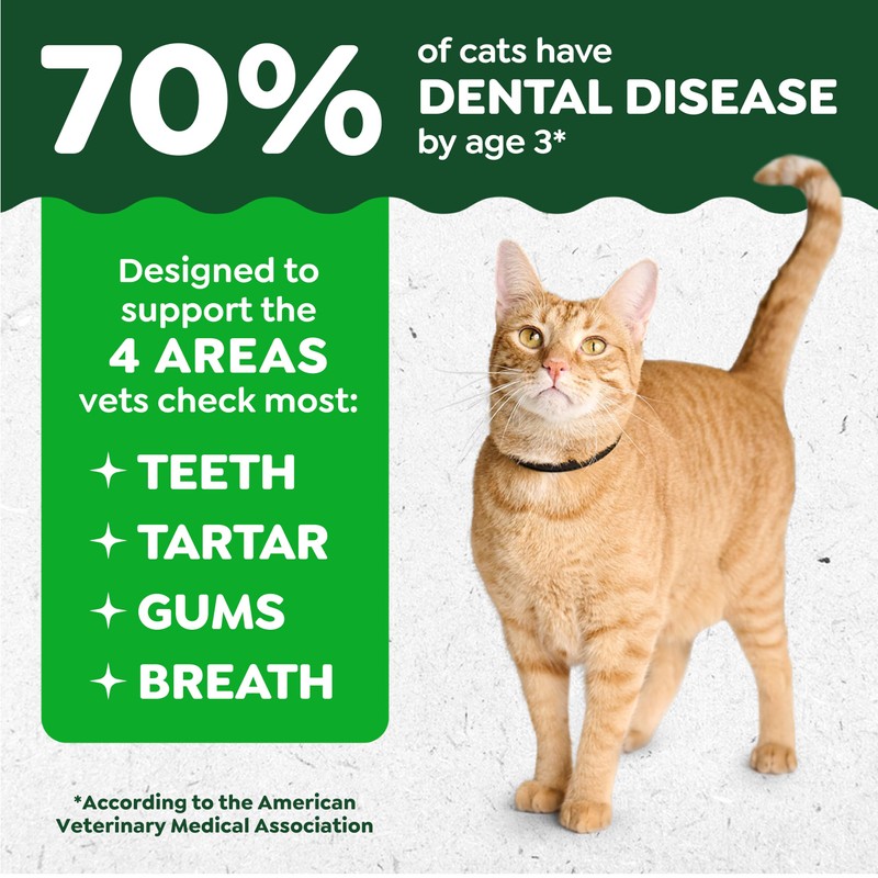 Greenies Cat Treats, Feline Veterinarian-Recommended Adult Natural Dental Cat Treats,