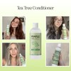 Maple Holistics Tea Tree Oil Conditioner + Color Safe Dandruff