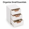 Mini 3-Drawer Desk Organizer for Small Items – Compact Storage
