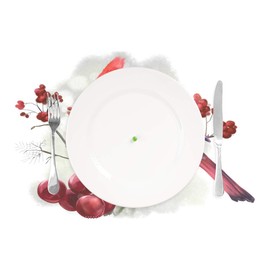 ALAZA Winter Bird Cardinal Placemats for Dining Table Heat Resistant Kitchen Table Decor Washable Table Mats Set of 4