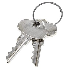 CUB CADET 925-06956 Blank Ignition Key Set of 2 Challenger 400LX Utility Vehicle