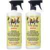 Poop-Off Bird Poop Remover Sprayer, 32-Ounce 2 Pack