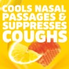 HALLS Relief Honey Lemon Sugar Free Cough Drops, Value Pack,