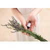 Lemon 10ml NATURELLE NATURELLE Essential Oil