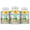 Nature Herbal Life Kalanchoe Pinnata-Leaf of Life-Cathedral Bells 750mg Vegetarian