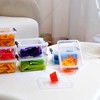 Citylife 1.3 QT 20 Packs Small Storage Bins Plastic Storage