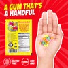 Gerritâ€™s Mini Mini Fruit Chicles Gum, 0.79 Ounce Pouches -