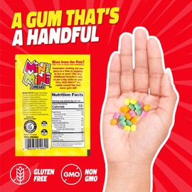 Gerritâ€™s Mini Mini Fruit Chicles Gum, 0.79 Ounce Pouches - 20 Count Display Box