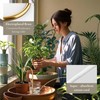 Jinnee Yard，The Intelligent Plant Self-Watering Devices Made of Brass and