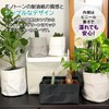Yamazen Y-S PP-PCS-P-WH Planter Cover, House Plants, Can Store No.