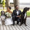 Formal Dog Tuxedo Suit with Bow Tie Wedding Bandana Collar