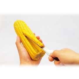 SANYO PRECISION TRAND NIPPON Grain Removal, Made in Japan