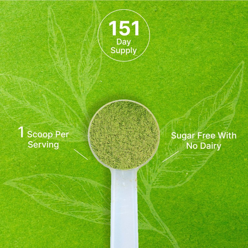 Organic Matcha Green Tea Powder, 1 lb (454g) | First