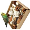 LimCryspp Natural Foraging and Biting Toy Box, an Interactive Biting