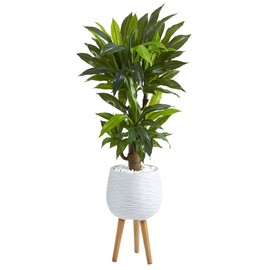 Nearly Natural 46in. Corn Stalk Dracaena Artificial Plant in White Planter with Stand (Real Touch)