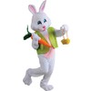 Men’s Easter Bunny Costume with Vest & Carrot