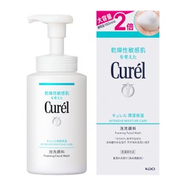 Curel Moisture-Penetrating Moisturizing Foam Facial Cleanser, Large Size Bottle, 10.1 fl oz (300 ml)