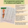 Pearl Ear Seeds Acupuncture Kit - Acupressure with Ears Seed,