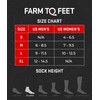 Farm to Feet Unisex Greensboro 1/4 Crew Light Cushion Merino