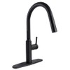 Phoenix PF231765 Premium Slimline Single Handle Pull Down Kitchen Faucet