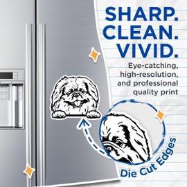 (2 Pack) Dog Magnets - Cute Dog Face Magnets - Puppy Animal Magnet - Home Fridge ation Magnet - 5" On Longest Side - for Cars, Fridges, Toolboxes - Made in USA - MAG4047