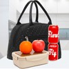 FlowFly Insulated Lunch Cooler Bag - Tote Bag Organizer for