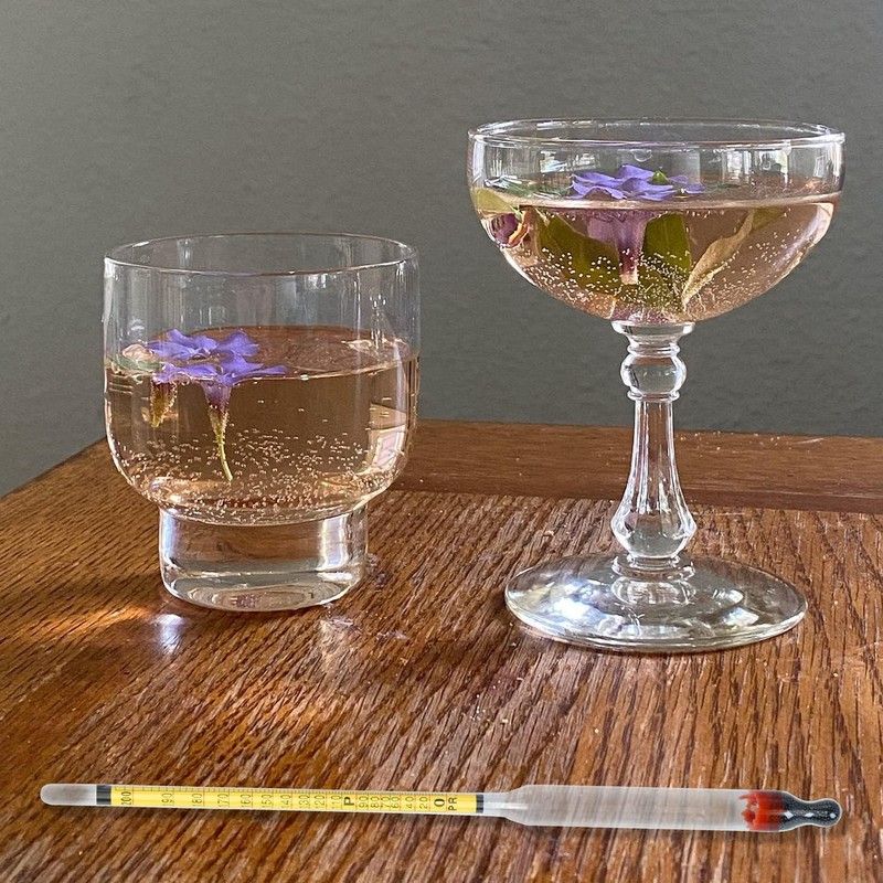 Hydrometer Alcohol Meter, Hydrometer Alcohol 0-200 Proof and Tralle Hydrometer,