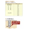 Onishi Kogyo Shiitake Mushroom with Stopper (NO.33) 0.5 inches (12.5