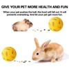NON-SQUARE Treat Ball, Snack Ball for Rabbits, Guinea Pigs, Hamster,