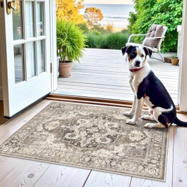 YOUFORTONG Washable 2x3 Area Rugs: Rugs for Living Room Ultra Soft Carpet for Bedroom Waterproof Rug Non Slip Rugs for Hardwood Floors (Beige, 2x3)