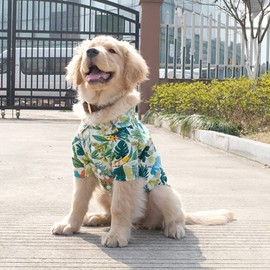 BT Bear Dog Hawaiian Shirts,Dog Summer Clothes Breathable Dog Cotton T-Shirts 3XL-8XL for Medium Dog Large Dogs (6XL,White)