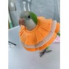 RRRIOT Adjustable Parrot Cone Collar, Safe and Practical Cotton Collar