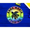 Anna Maria Florida Beach Sticker Decal 3" Vinyl