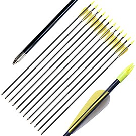 PANDARUS Archery 28" Fiberglass Archery Target Practice 7MM Arrows, for Children, Woman or Beginner, for Recuve Bow (Pack of 12) (Yellow White Vanes Black Shaft, 28inch 7mm)