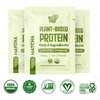 NUTRAPULSE Organic Vegan Protein Powder Sample Pack (Matcha, Pack of