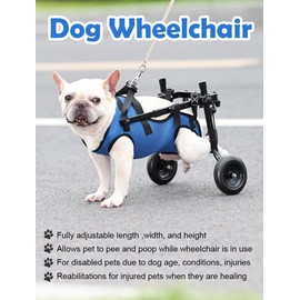 BT Bear Dog Wheelchair, Adjustable Pets Cart with Wheels for Back Legs,Dog Leg Brace and Hip Support, Assist Small Pets with Paralyzed Hind Limbs to Recover,Small