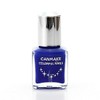 Canmake Colorful Nails 50 Marine Navy 0.3 fl oz (8