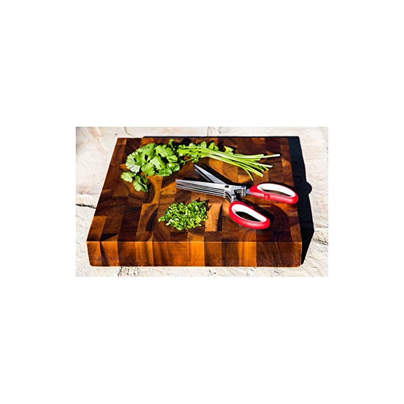 Red Herb Scissors For Cutting Onions, Chives & Rosemary. The