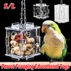 AIMALL Acrylic Parrot Foraging Toy with Hook Chain, Interactive Educational