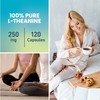 High Potency L-Theanine 250mg (Bonus Size 120 Capsules) - Relaxation,